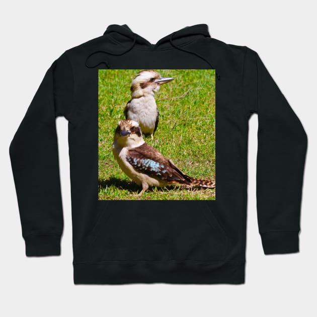 The Two Kookaburras! Hoodie by Mickangelhere1